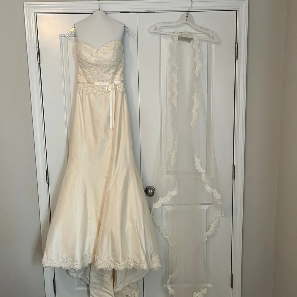 NEW/ NEVER WORN: Paloma Blanca Wedding Dress: style #CA05313 - Picture 2 of 15